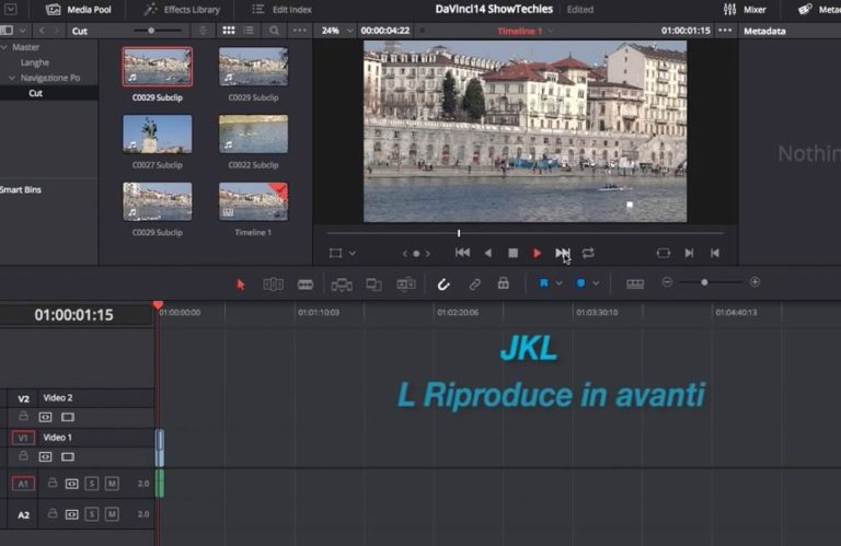 does davinci resolve free support plugins