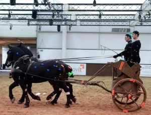 Mocap per cavalli e carri negli studi di Audiomotion