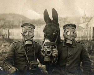 Soldati e mulo con maschere a gas
