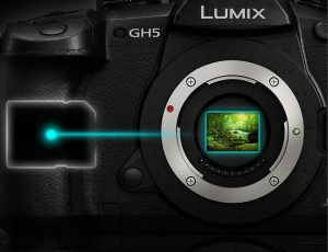 GH5 Sensore