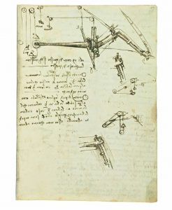 Articolazione dell'ala Codice del Volo Leonardo