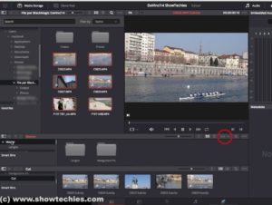 DaVinci Resolve 14.2 doppia visualizzazione icone