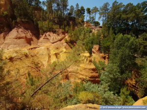 Alberi e deserto