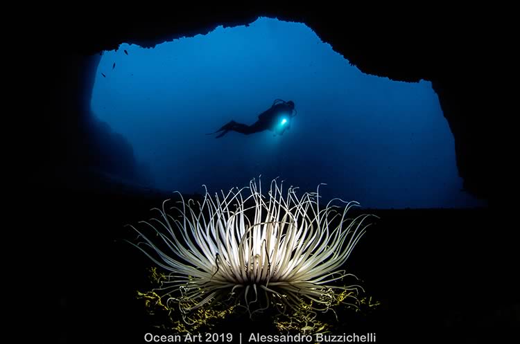 ShowTechies_2020_Fotografia subacquea concorso_grotta_Alessandro Buzzicheli