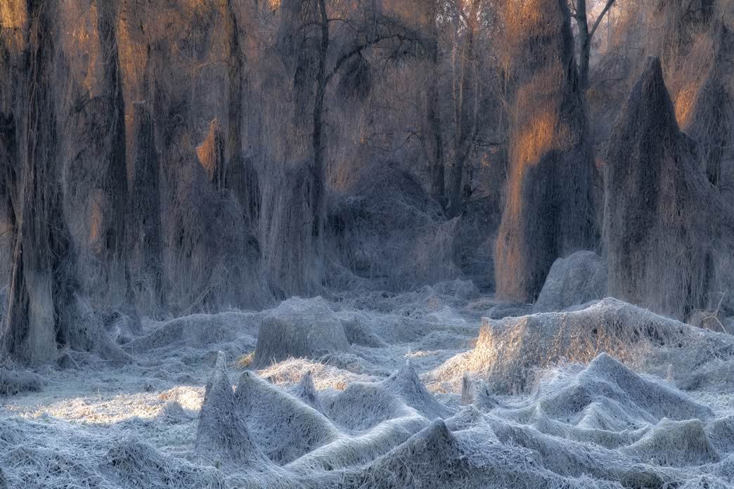ShowTechies_2020_Landscape_Concorso_Stanislao Basileo_Torino_ILPOTY