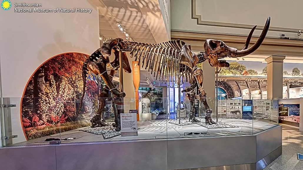 I dinosauri dello Smithsonian