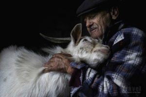 Pastore di 80 anni con la sua pecora di Jorge Bacelar, Portogallo 