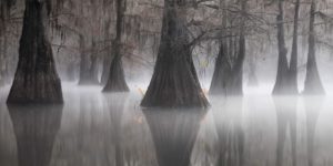 Pano Awards 2021 Eternal Triangle