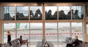 Cavalli si affacciano dalle vetrate dell'aeroporto di Rotterdam
