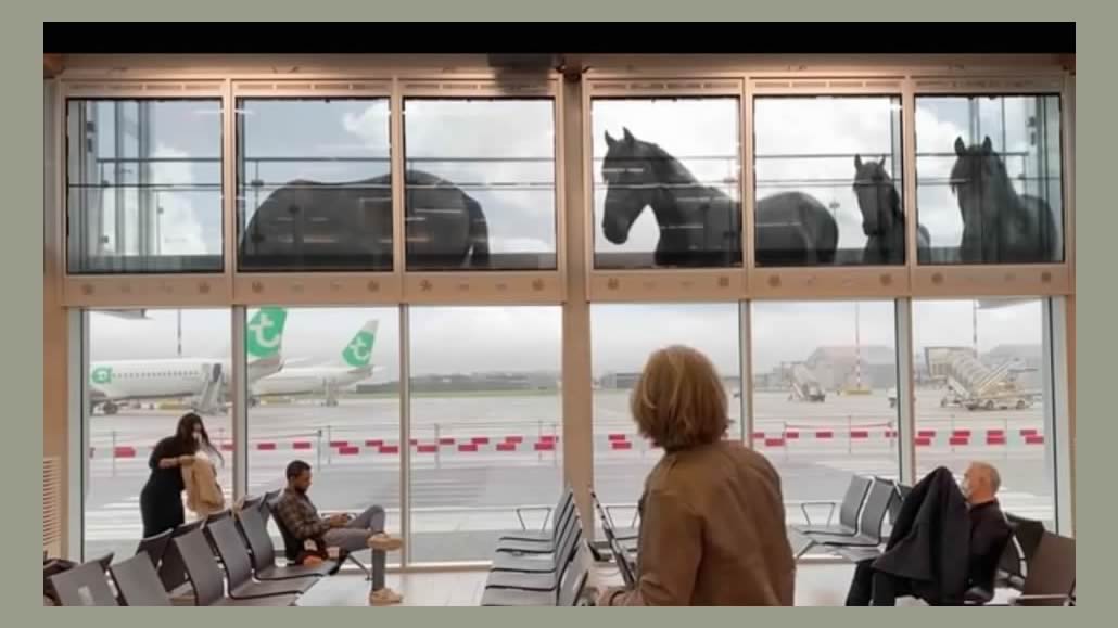 VideoWindow installazione all'aeroporto di Rotterdam