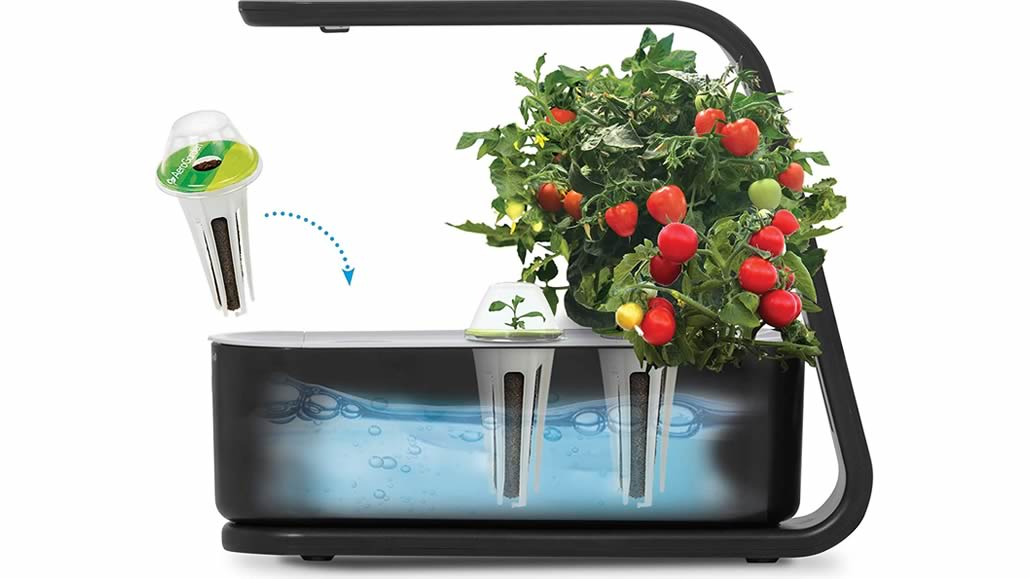 Orti domestici kit AeroGarden