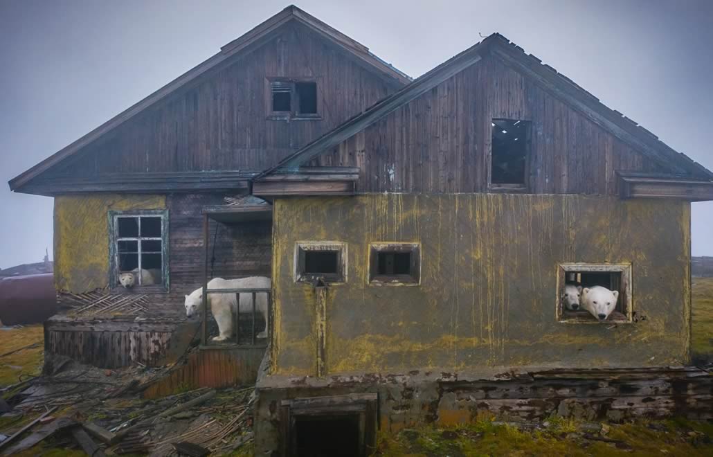 Abandoned Weather Station