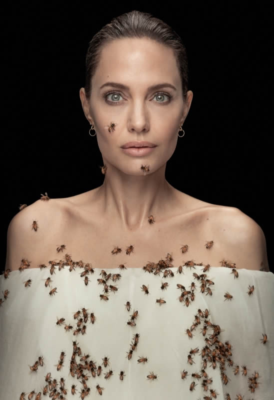 Angelina Jolie and Bees SIPA 2022
