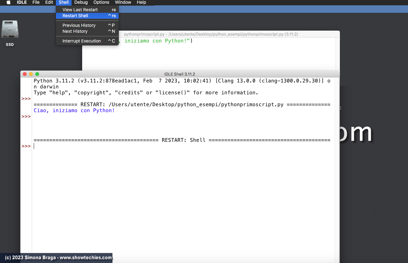 IDLE del Pacchetto Python Restart Shell
