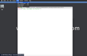 INIZIARE CON PYTHON: IL PRIMO SCRIPT CON IDLE – ShowTechies
