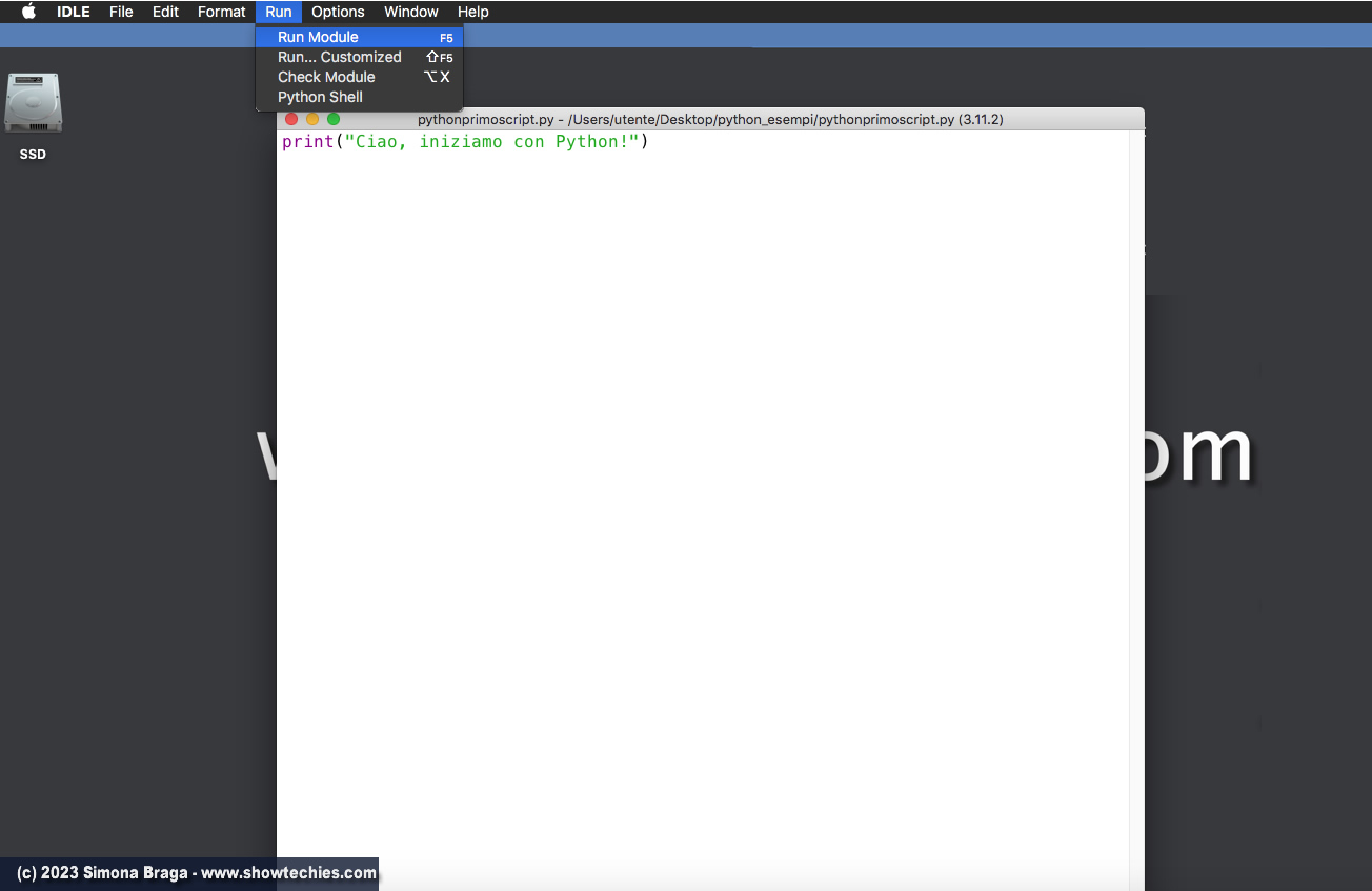 IDLE del Pacchetto Python Run file
