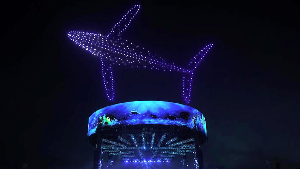 Immagine di balena creata con droni
