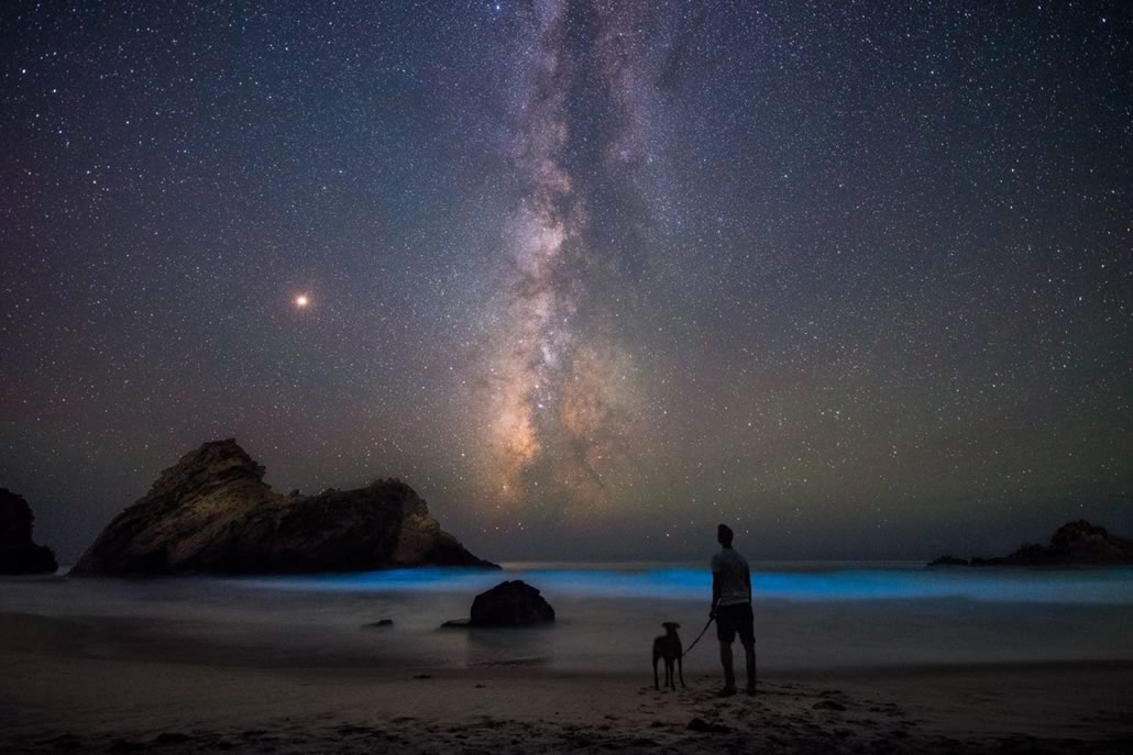 Cielo notturno con uomo e cane vicino al mare bioluminescente