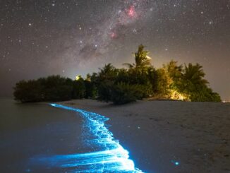Dettaglio Infrangersi delle onde lungo le coste delle Maldive con la Stella del sud visibile in cielo.