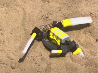 Il robot tartaruga dell’Università Notre Dame si muove sulla sabbia