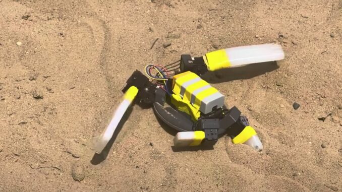 Il robot tartaruga dell’Università Notre Dame si muove sulla sabbia