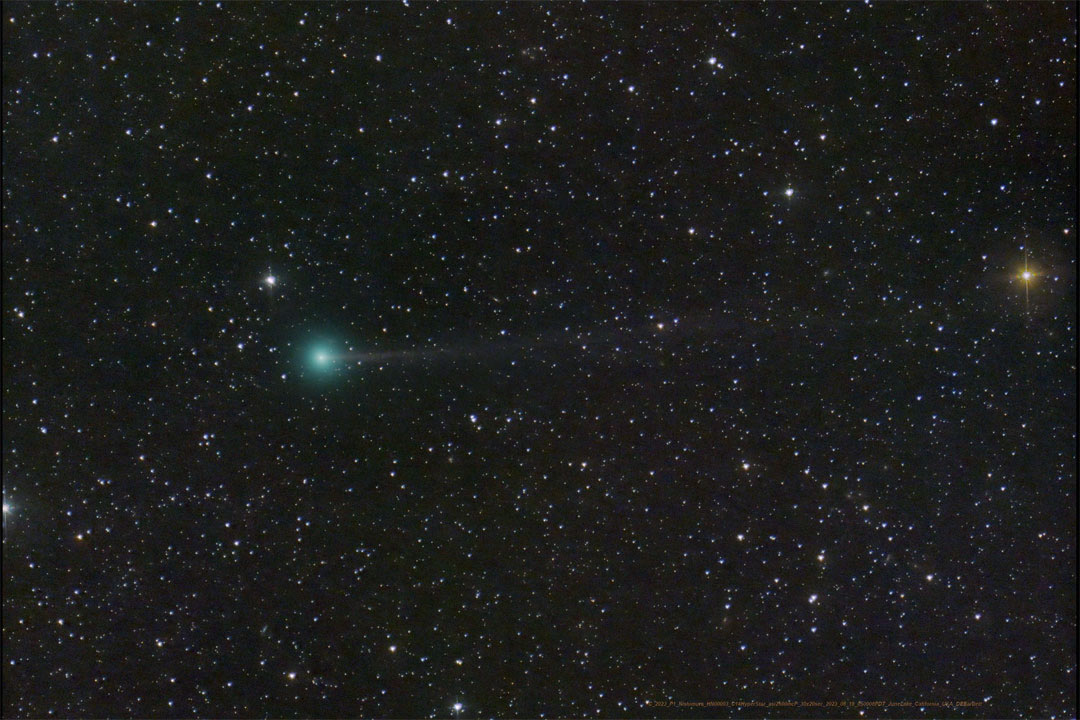Cielo notturno con cometa Nishimura