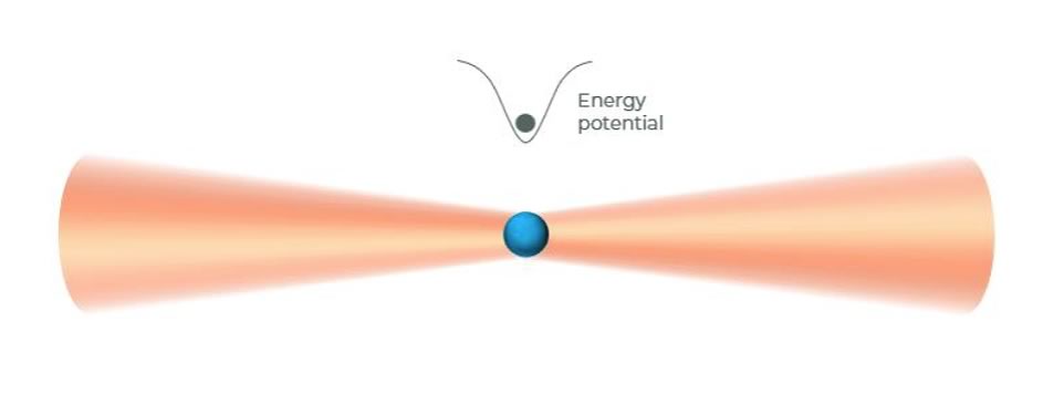 Atomo neutro intrappolato nel centro