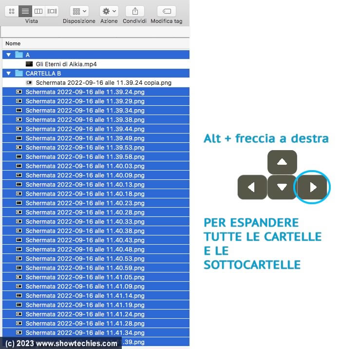 Alt + freccia a destra per espandere tutto il contenuto di cartelle e sottocartelle
