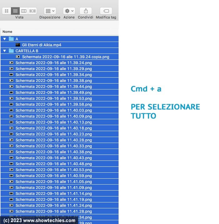 Cmd a per selezionare tutti i file di una cartella in Vista Elenco