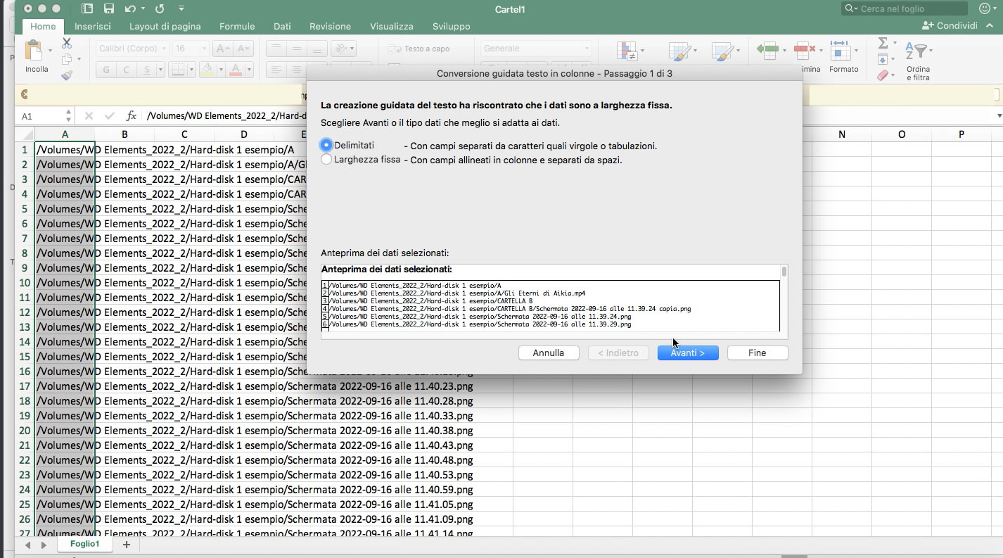 Excel Dati Testo in colonne Flag su Delimitati