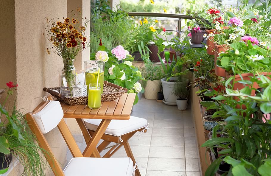 Balcone con piante per decoro ed isolanti