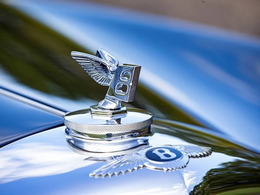 Bentley R-Type Continental Fastback 1952 – B alata sul cofano