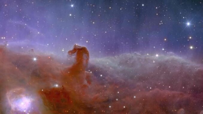 Nebulosa Testa di Cavallo