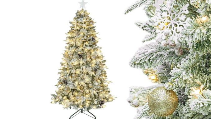 Selezione alberi di Natale 2023