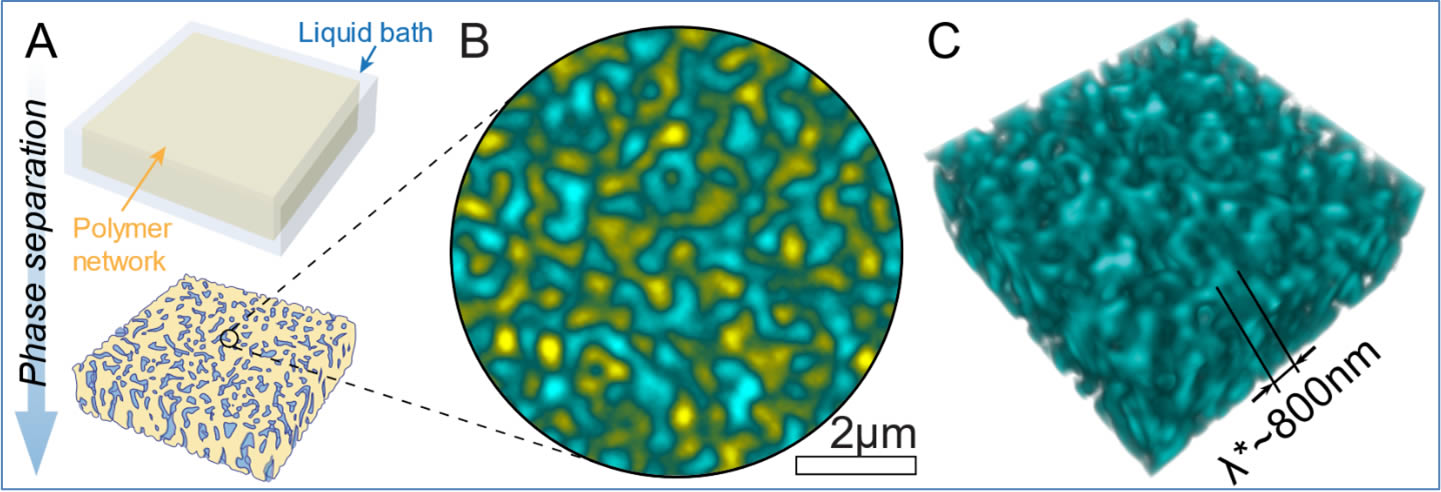 Procedimento creazione matrice separazione di fase di una matrice polimerica e soluzione oleosa