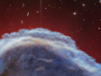 Dettaglio Nebulosa Testa di Cavallo (immagine NIRCam)