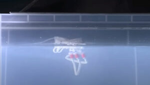 Air robot sincronizza movimenti in acqua alternandoli per nuotare